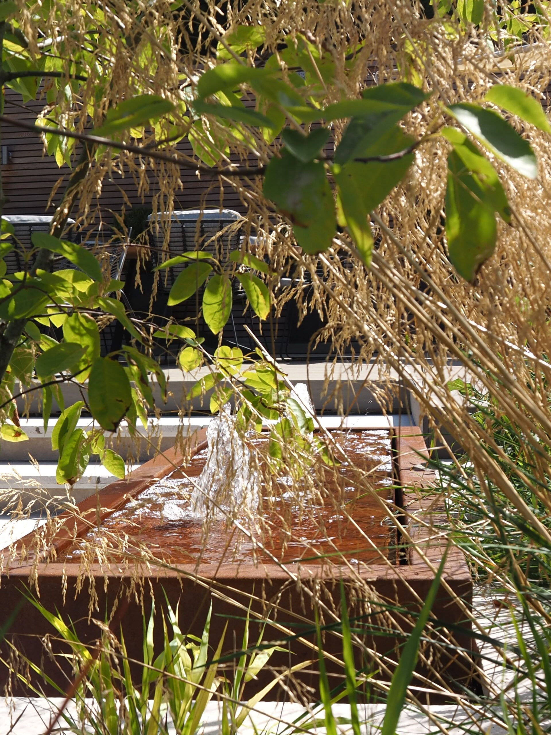 A small, rectangular water fountain with bubbling water is partially hidden behind tall grasses and green leaves in a sunny garden setting.
